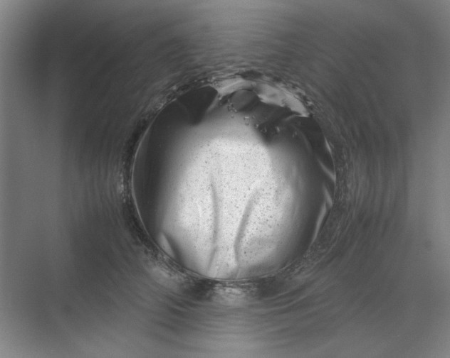 X0000070190706200606091533