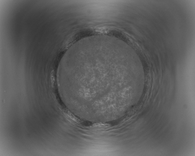 X0000070190707200606091533