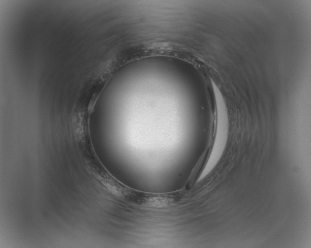 X0000070190708200606091533