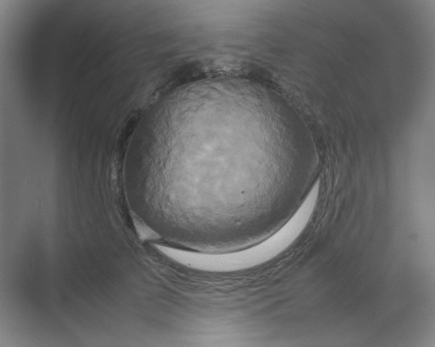 X0000070190709200606091533