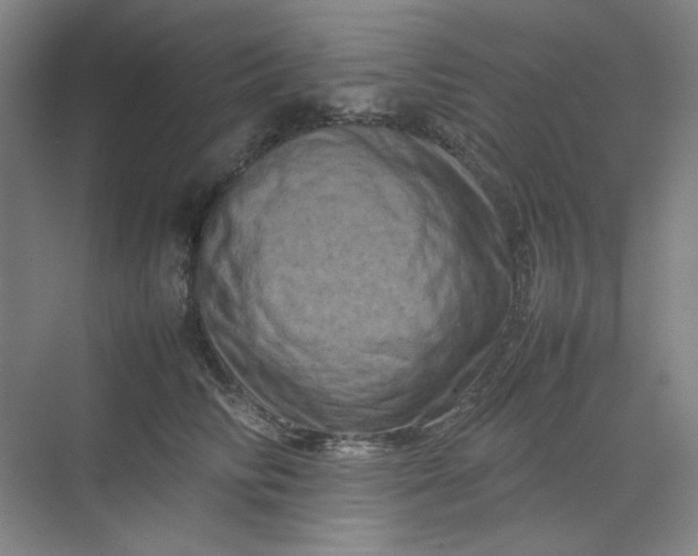 X0000070190710200606091533