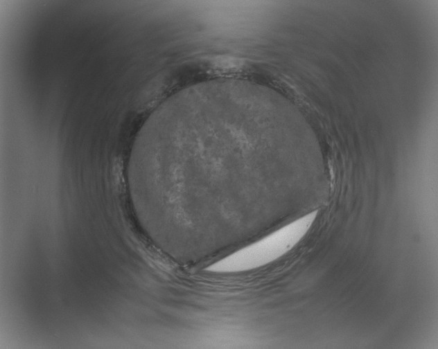 X0000070190711200606091533