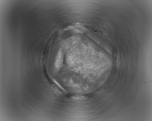 X0000070190712200606091532