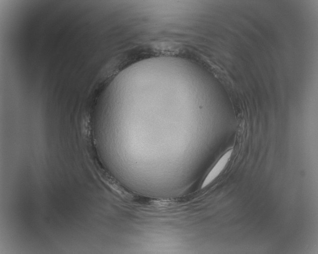 X0000070190713200606091532