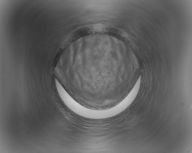 X0000070190715200606091532