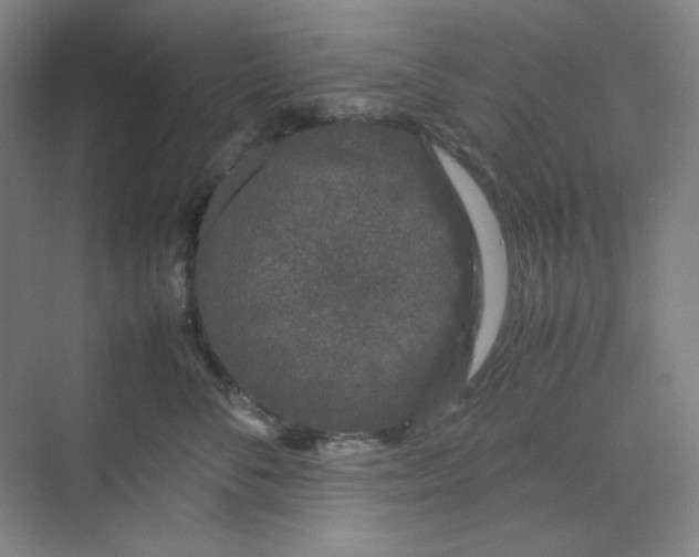 X0000070190716200606091532