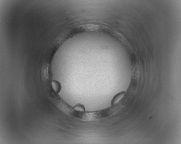 X0000070190717200606091532