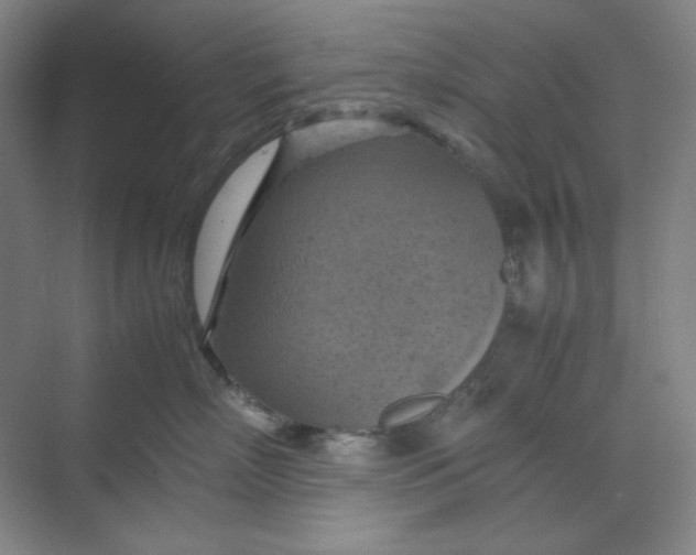 X0000070190718200606091532