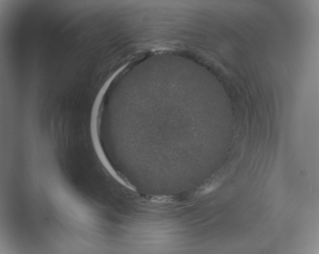 X0000070190720200606091532