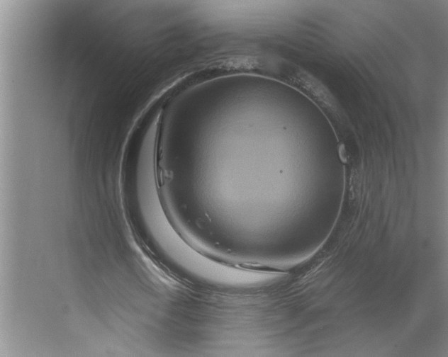 X0000070190722200606091532