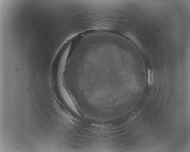 X0000070190723200606091532