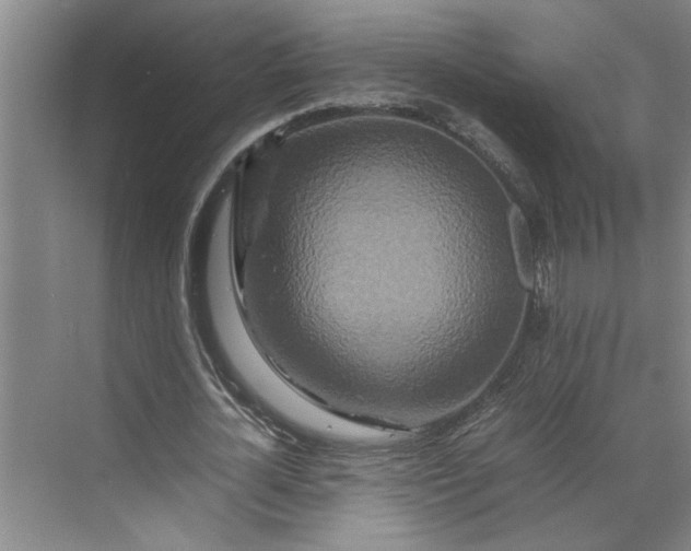 X0000070190724200606091532