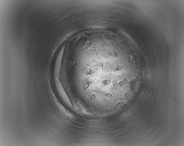 X0000070190725200606091532