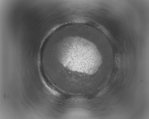 X0000070190726200606091532