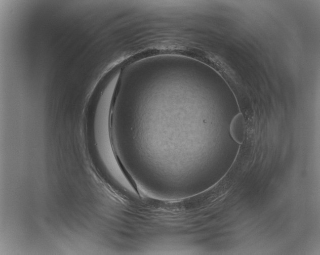 X0000070190727200606091532