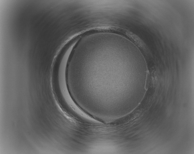 X0000070190728200606091532