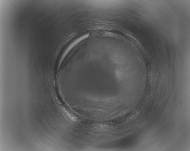 X0000070190729200606091532