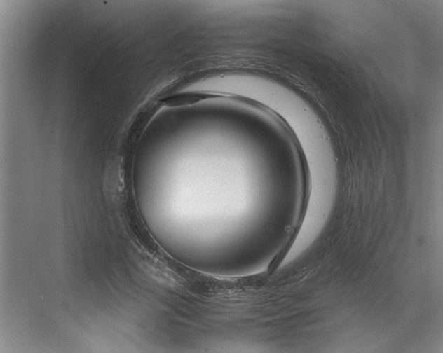 X0000070190731200606091532