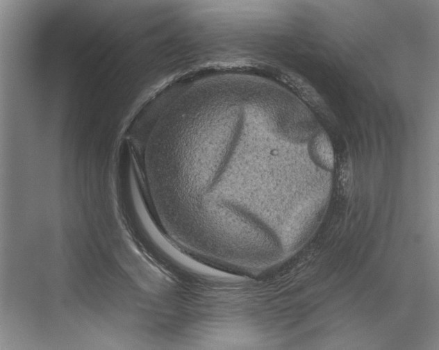 X0000070190732200606091532