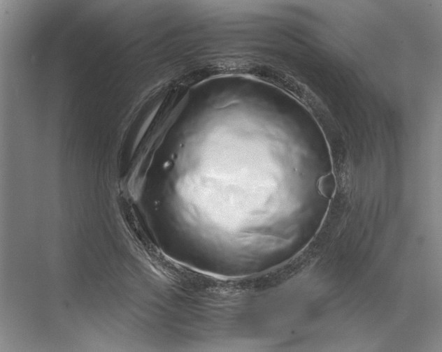 X0000070190733200606091532