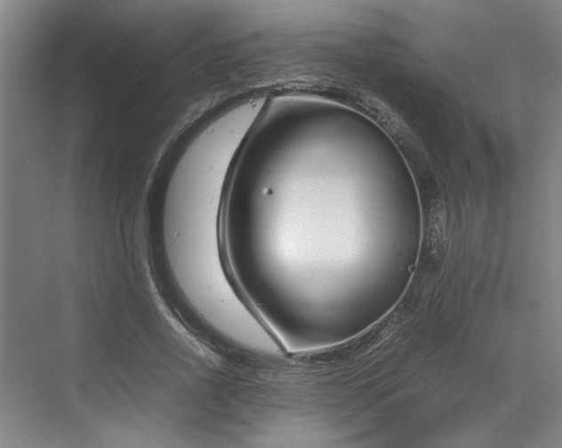 X0000070190734200606091532