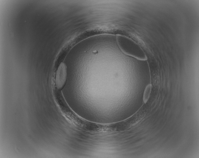 X0000070190736200606091532