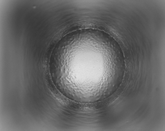 X0000070190737200606091532