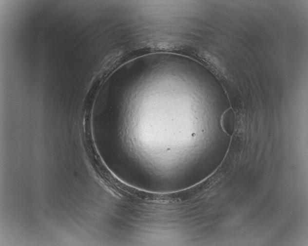 X0000070190738200606091532