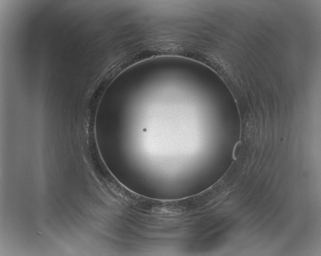 X0000070190739200606091532