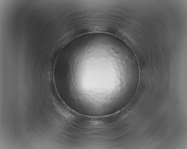 X0000070190741200606091532