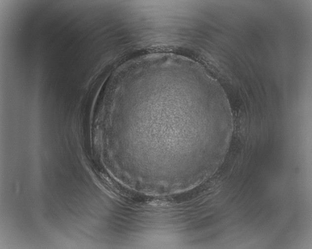 X0000070190742200606091532