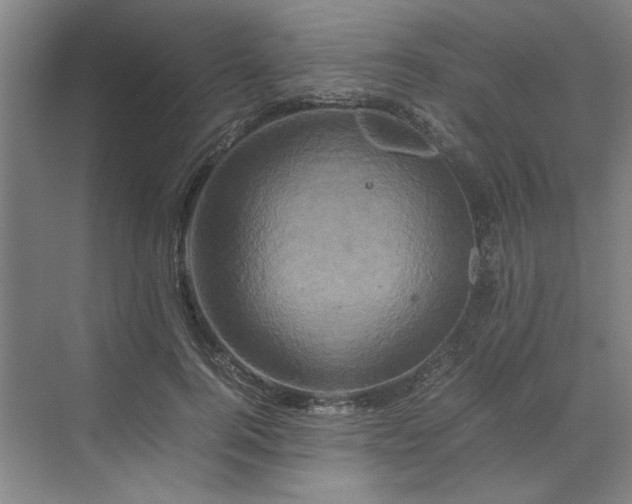 X0000070190744200606091532