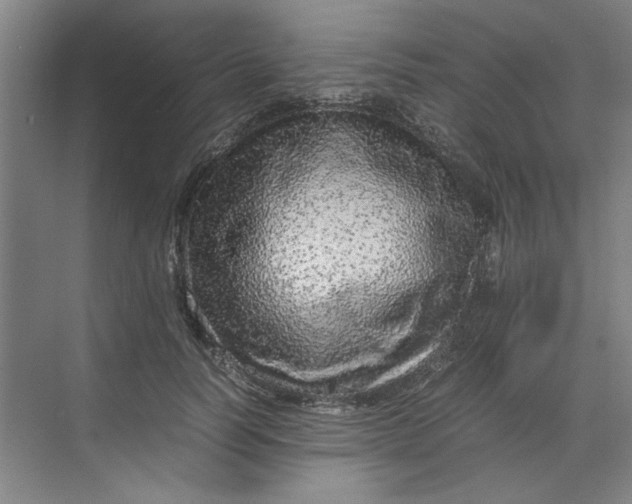 X0000070190746200606091532