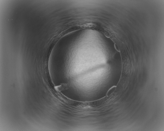 X0000070190747200606091532