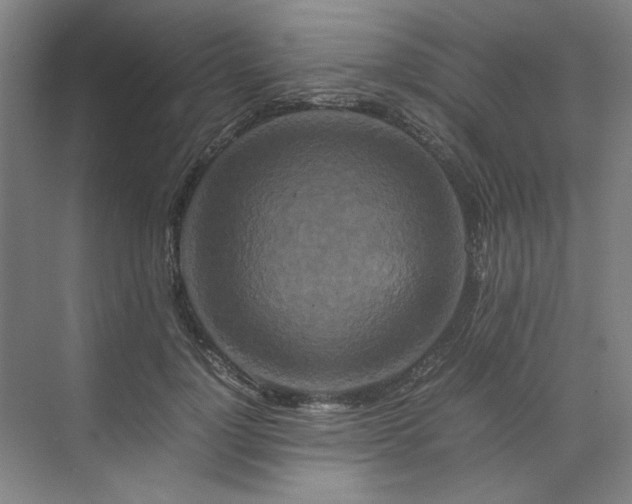 X0000070190748200606091532