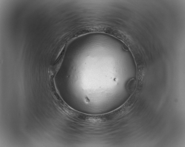 X0000070190749200606091532