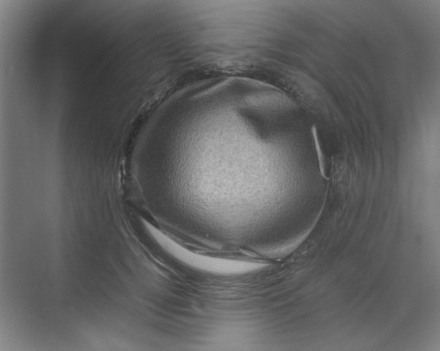 X0000070190752200606091532