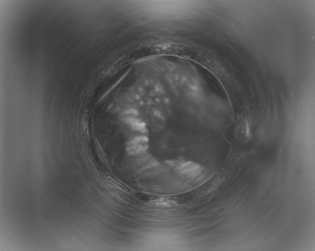 X0000070190754200606091532