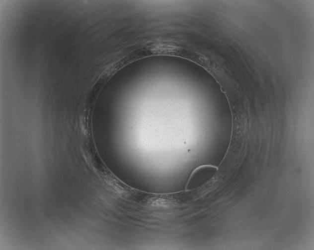 X0000070190755200606091532