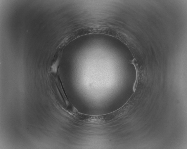 X0000070190756200606091532