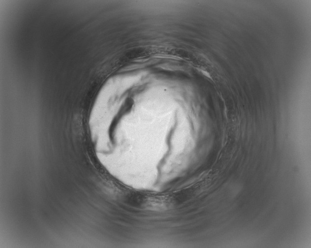 X0000070190757200606091532