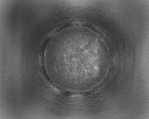 X0000070190759200606091532