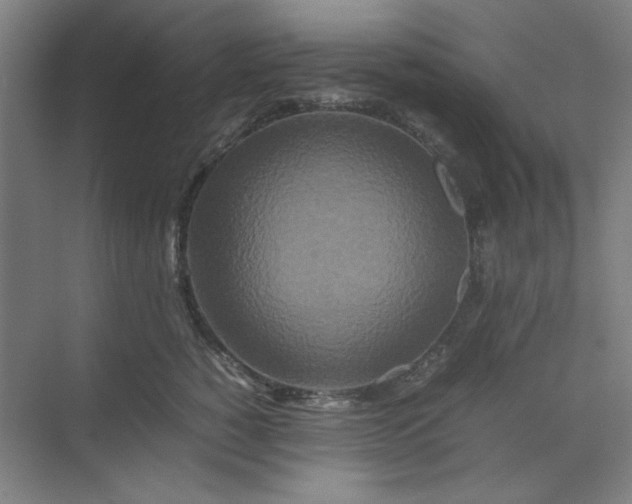 X0000070190760200606091532