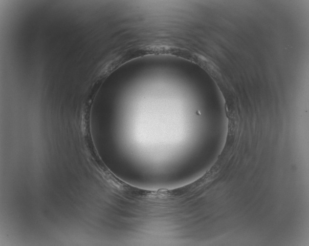 X0000070190762200606091532