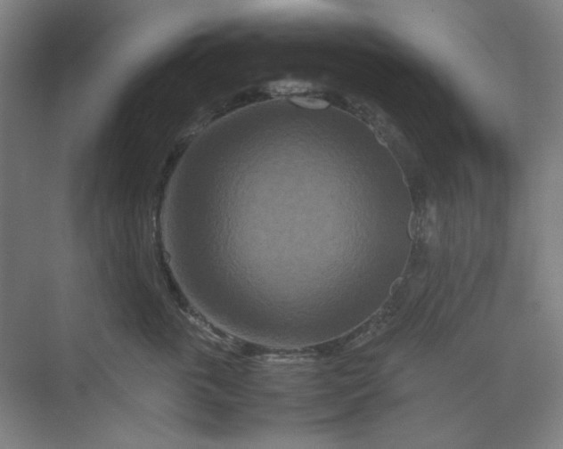 X0000070190763200606091532