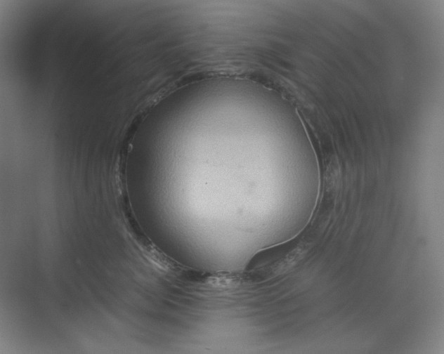 X0000070190764200606091532