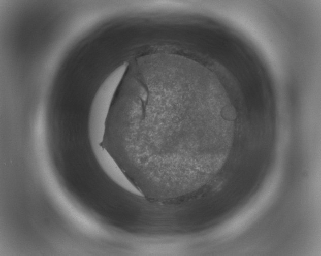 X0000070190765200606091532