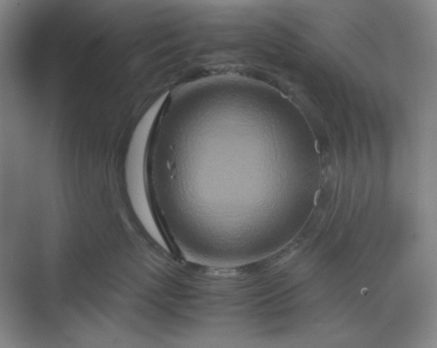 X0000070190767200606091532