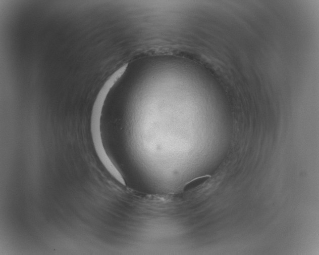 X0000070190768200606091532