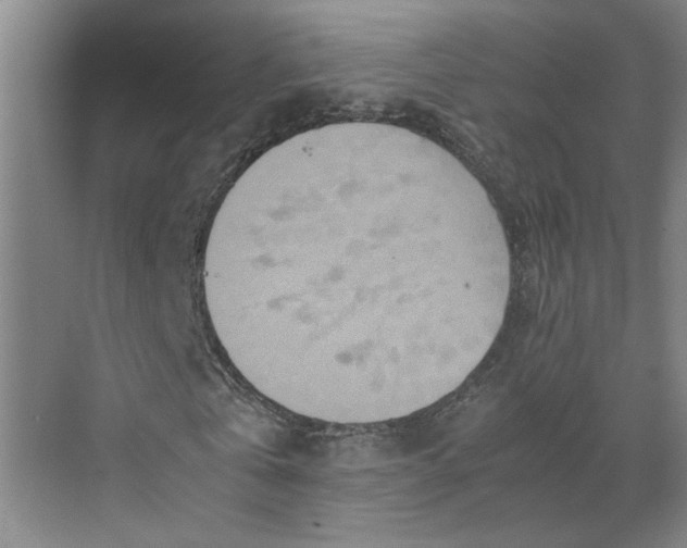 X0000070190769200606091532